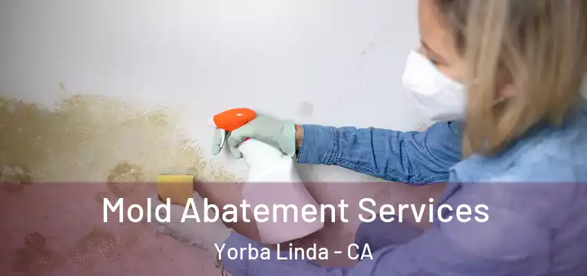  Mold Abatement Services Yorba Linda - CA