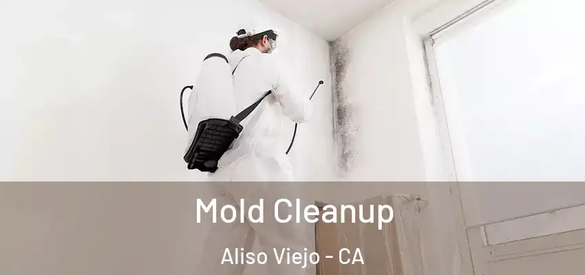  Mold Cleanup Aliso Viejo - CA