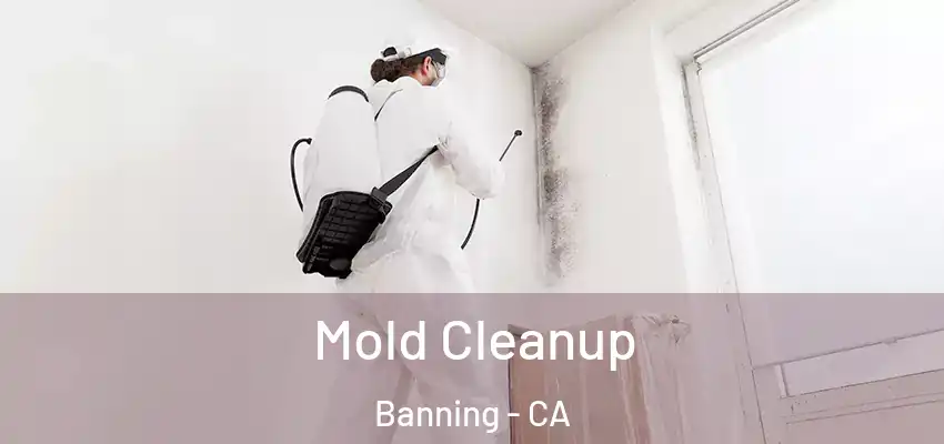  Mold Cleanup Banning - CA
