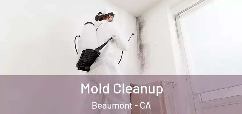  Mold Cleanup Beaumont - CA