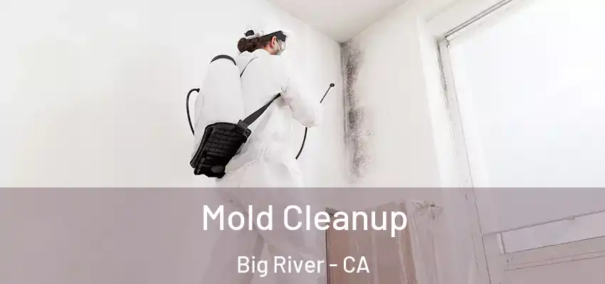  Mold Cleanup Big River - CA