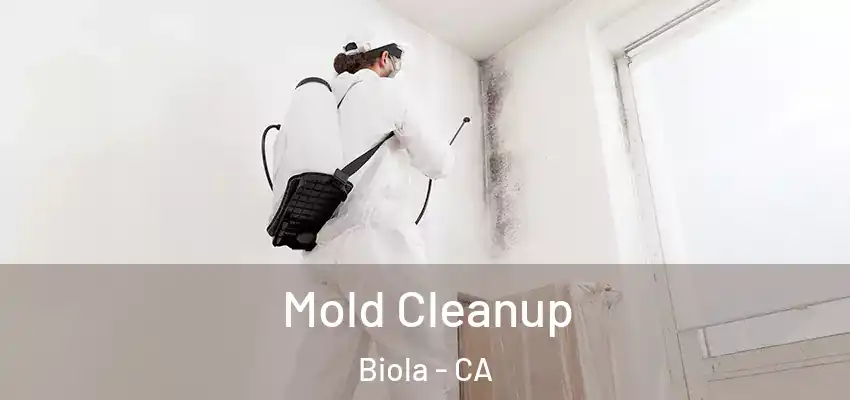  Mold Cleanup Biola - CA