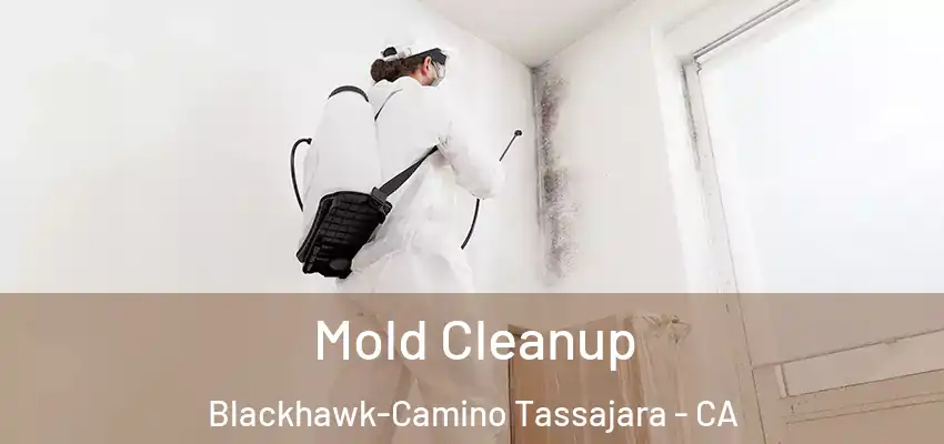  Mold Cleanup Blackhawk-Camino Tassajara - CA