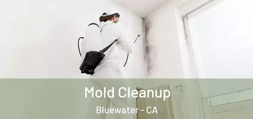  Mold Cleanup Bluewater - CA