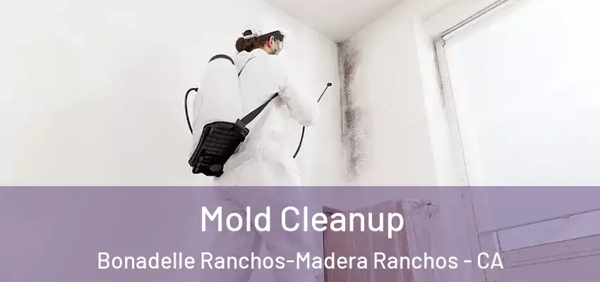  Mold Cleanup Bonadelle Ranchos-Madera Ranchos - CA