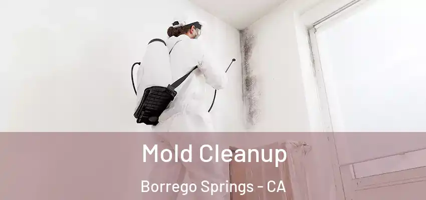  Mold Cleanup Borrego Springs - CA