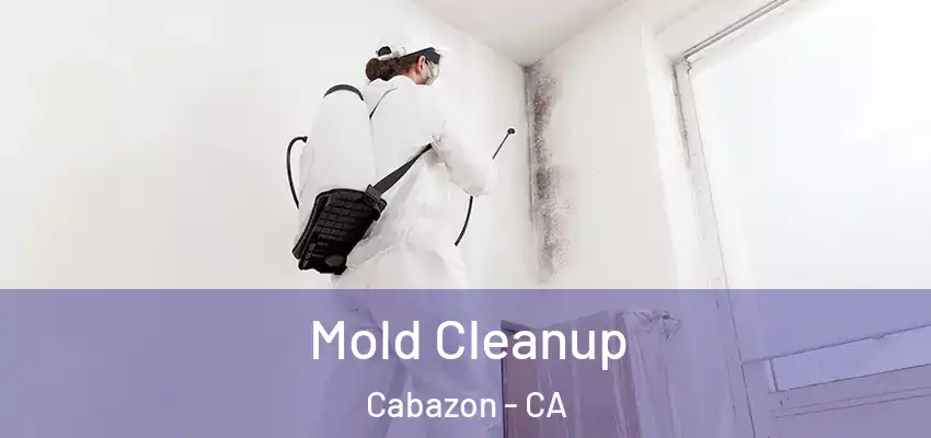  Mold Cleanup Cabazon - CA