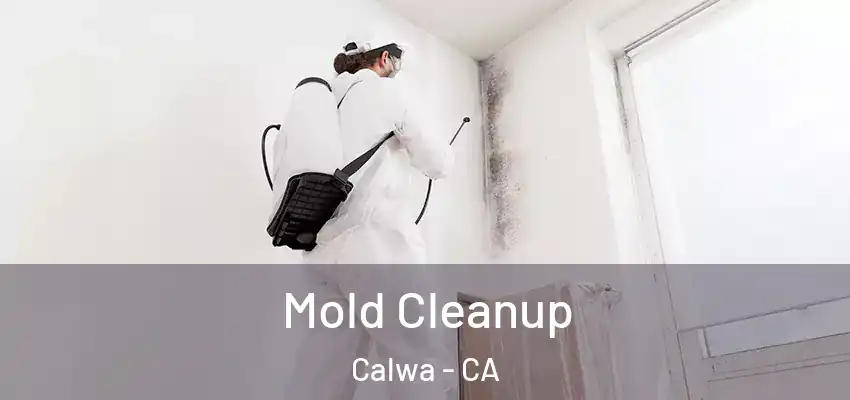  Mold Cleanup Calwa - CA