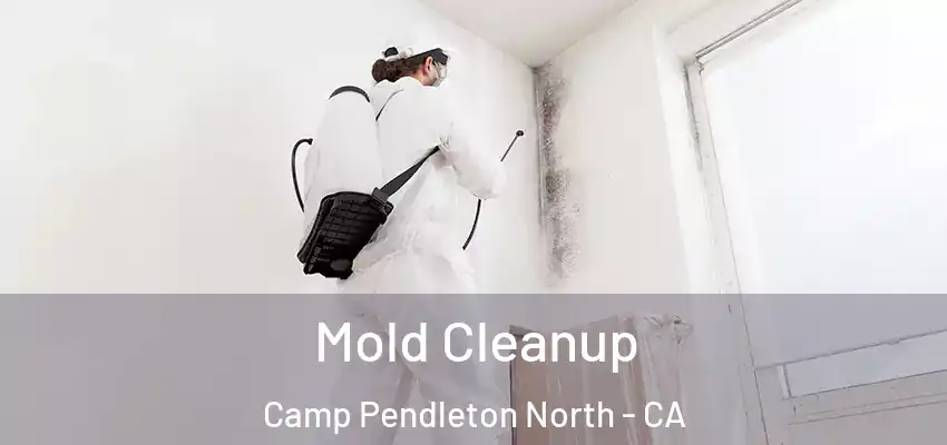  Mold Cleanup Camp Pendleton North - CA