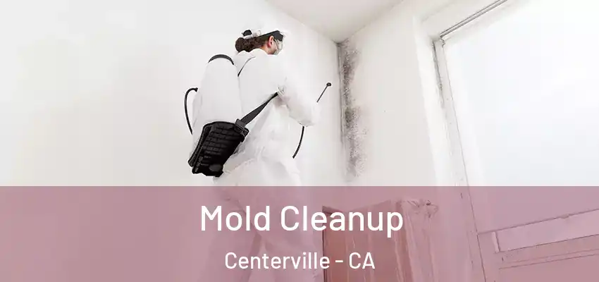  Mold Cleanup Centerville - CA