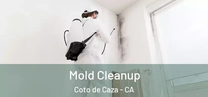  Mold Cleanup Coto de Caza - CA