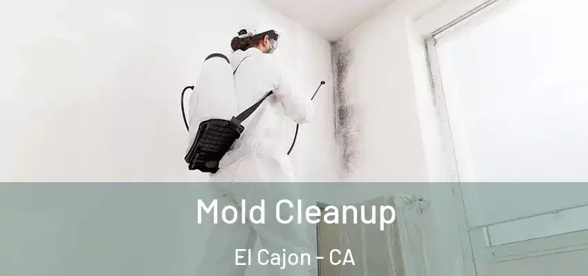  Mold Cleanup El Cajon - CA