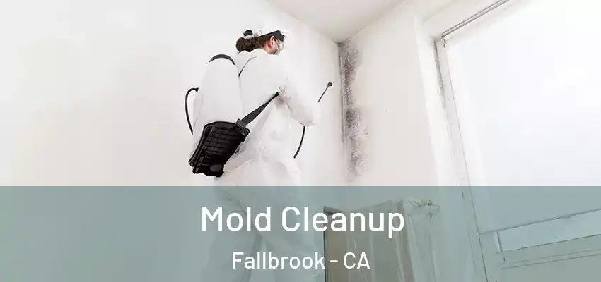  Mold Cleanup Fallbrook - CA