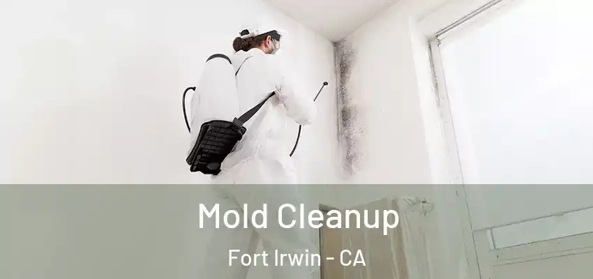  Mold Cleanup Fort Irwin - CA