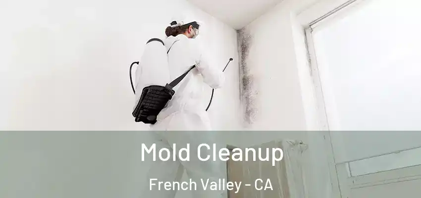  Mold Cleanup French Valley - CA
