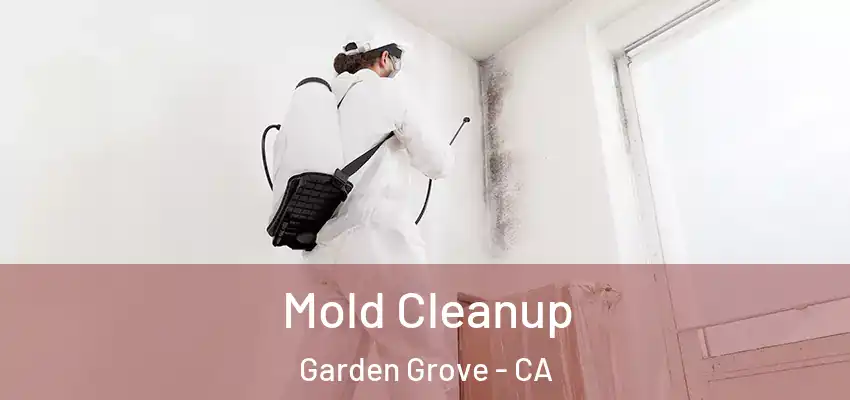  Mold Cleanup Garden Grove - CA