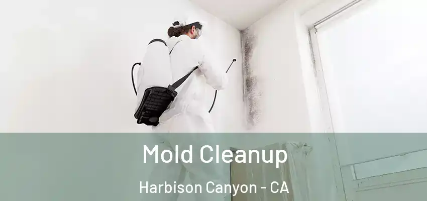  Mold Cleanup Harbison Canyon - CA