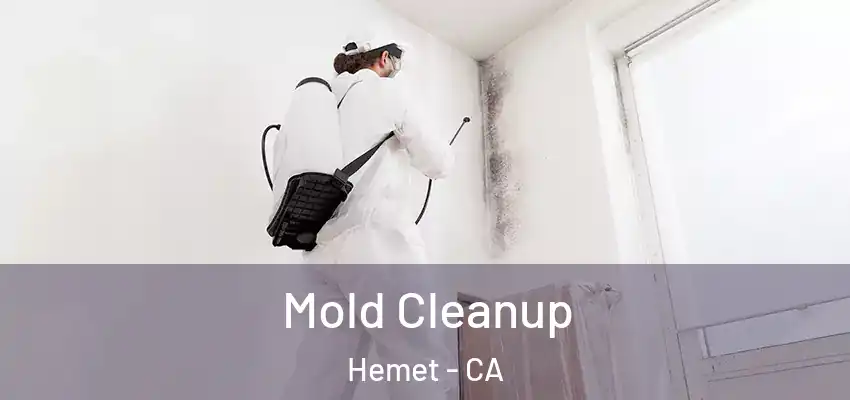  Mold Cleanup Hemet - CA
