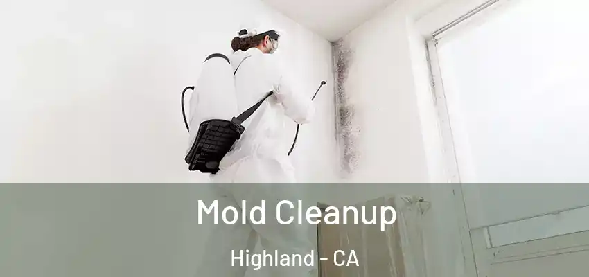  Mold Cleanup Highland - CA