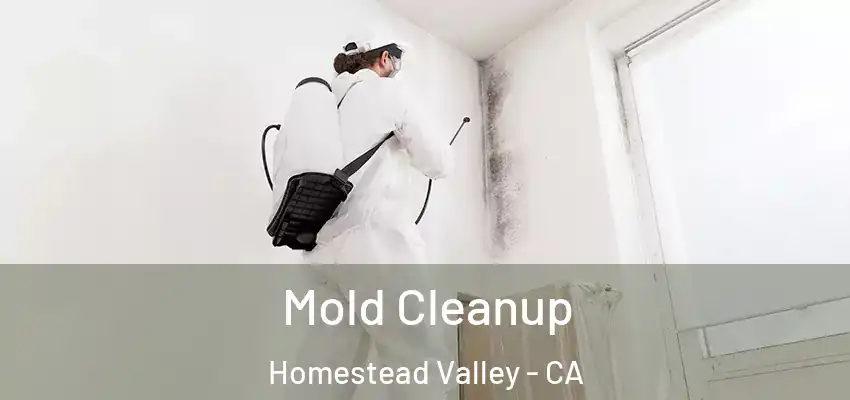  Mold Cleanup Homestead Valley - CA