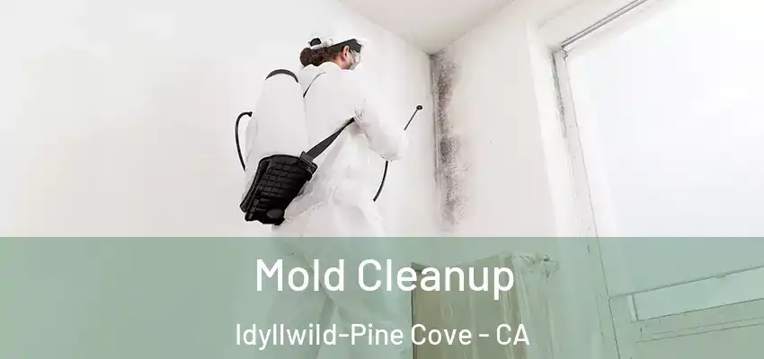  Mold Cleanup Idyllwild-Pine Cove - CA