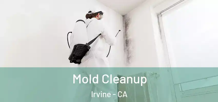  Mold Cleanup Irvine - CA