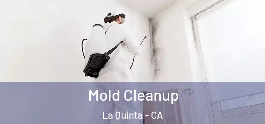  Mold Cleanup La Quinta - CA