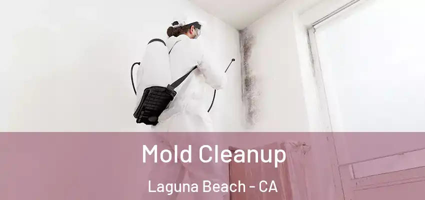  Mold Cleanup Laguna Beach - CA