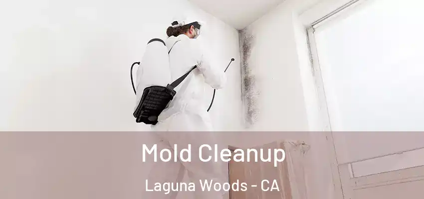  Mold Cleanup Laguna Woods - CA