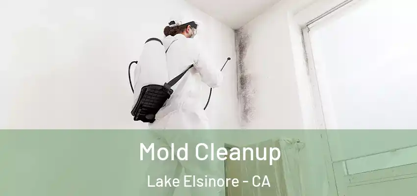  Mold Cleanup Lake Elsinore - CA
