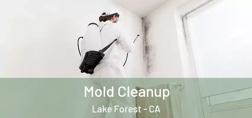  Mold Cleanup Lake Forest - CA