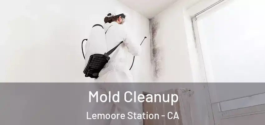  Mold Cleanup Lemoore Station - CA
