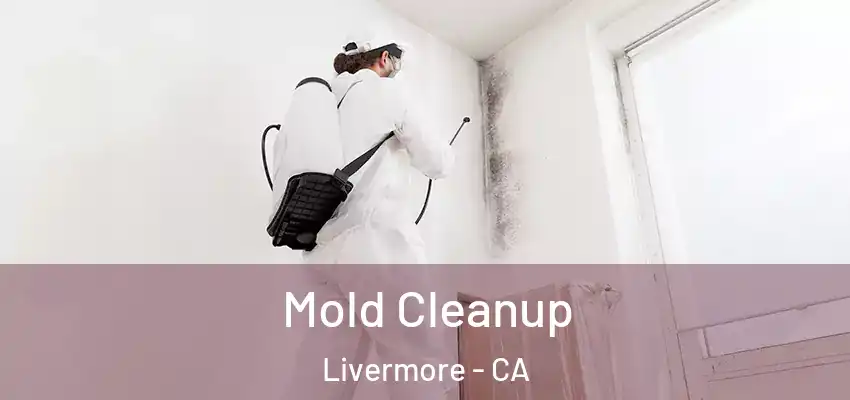  Mold Cleanup Livermore - CA