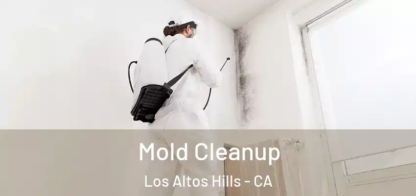  Mold Cleanup Los Altos Hills - CA