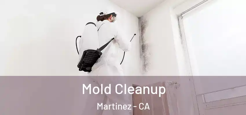  Mold Cleanup Martinez - CA
