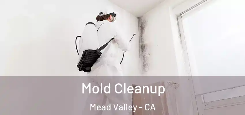  Mold Cleanup Mead Valley - CA