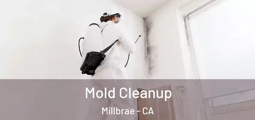  Mold Cleanup Millbrae - CA