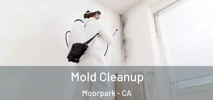  Mold Cleanup Moorpark - CA