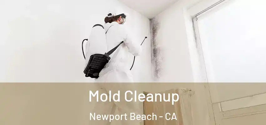  Mold Cleanup Newport Beach - CA
