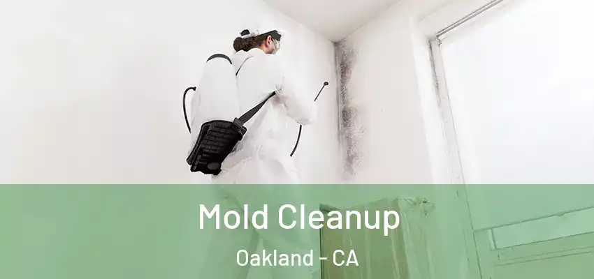 Mold Cleanup Oakland - CA