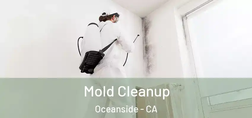  Mold Cleanup Oceanside - CA