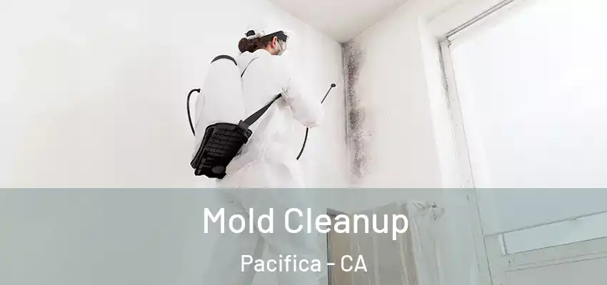  Mold Cleanup Pacifica - CA
