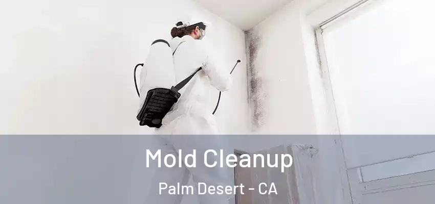  Mold Cleanup Palm Desert - CA