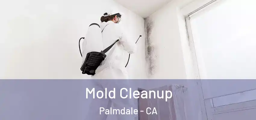  Mold Cleanup Palmdale - CA