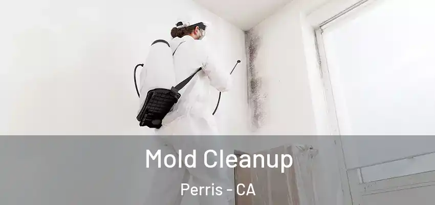  Mold Cleanup Perris - CA