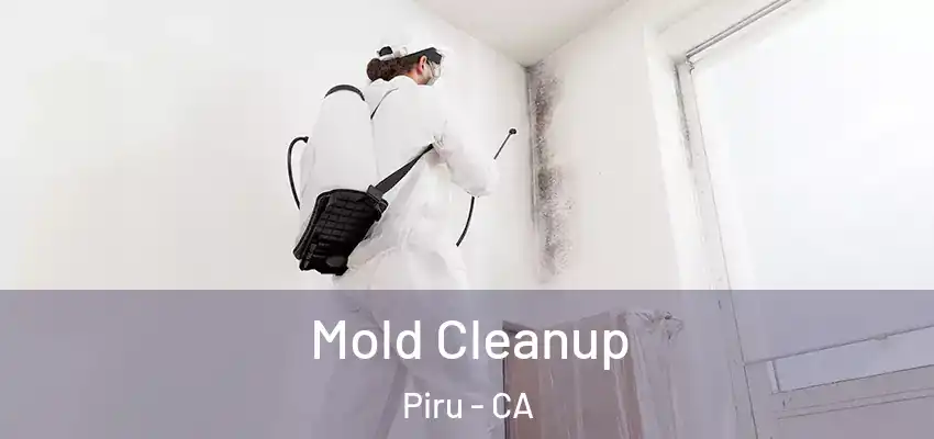  Mold Cleanup Piru - CA