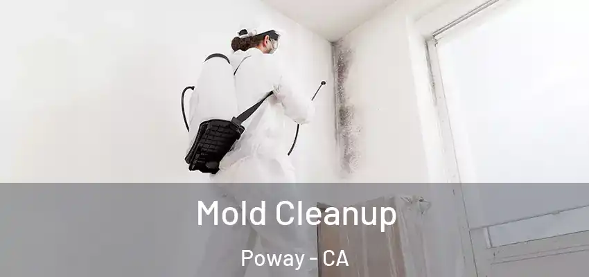  Mold Cleanup Poway - CA