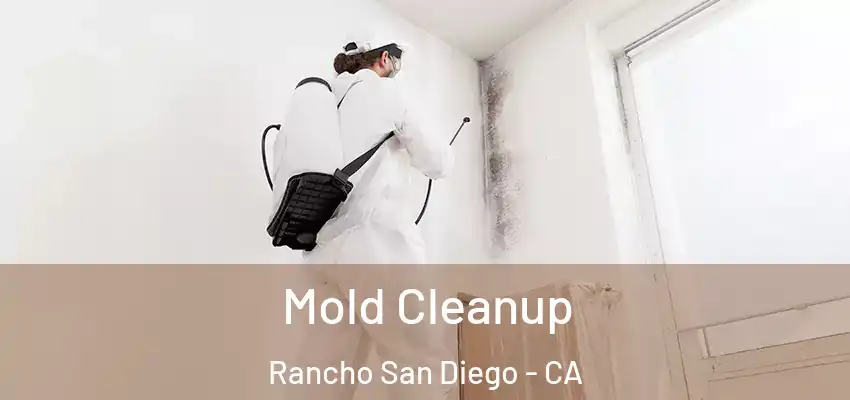  Mold Cleanup Rancho San Diego - CA