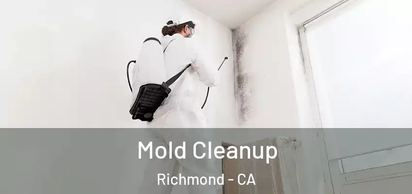  Mold Cleanup Richmond - CA