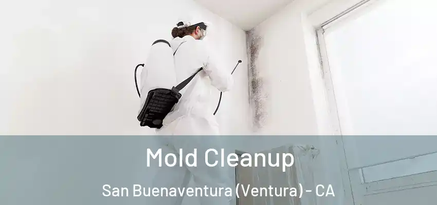  Mold Cleanup San Buenaventura (Ventura) - CA